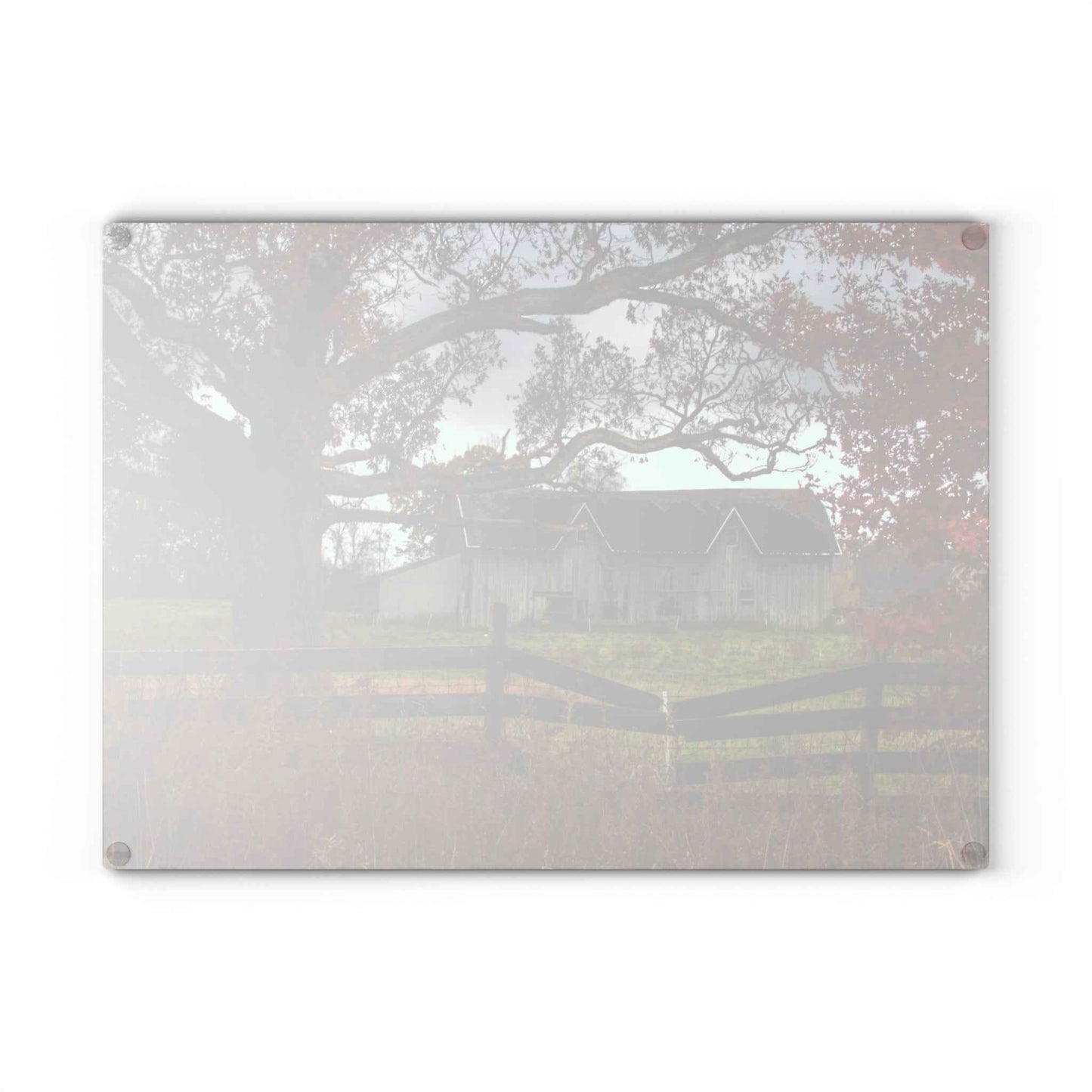 U R There Photography Green Road Grey Beyond the Oak Rustic Farmhouse Tempered-Glass Cutting Board