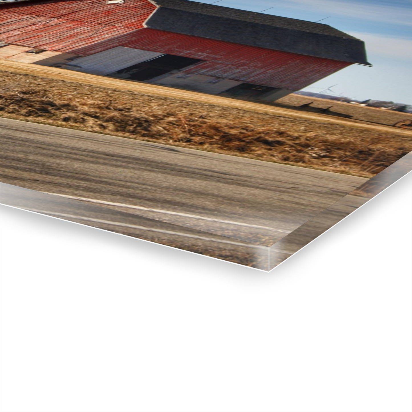 U R There Photography Elmwood Forgotten Apple Red Rustic Farmhouse Acrylic Wall Print