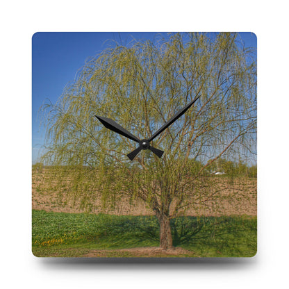 U R There Photography Spring Farm Willow Tree Rustic Farmhouse Acrylic Analog Wall Clock