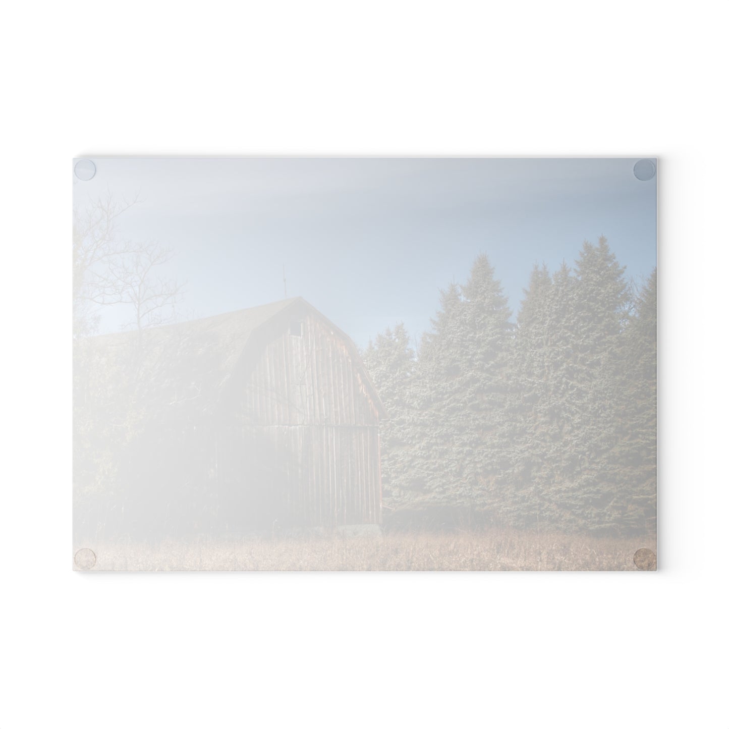 U R There Photography Washburn Old Grey Rustic Farmhouse Tempered-Glass Cutting Board