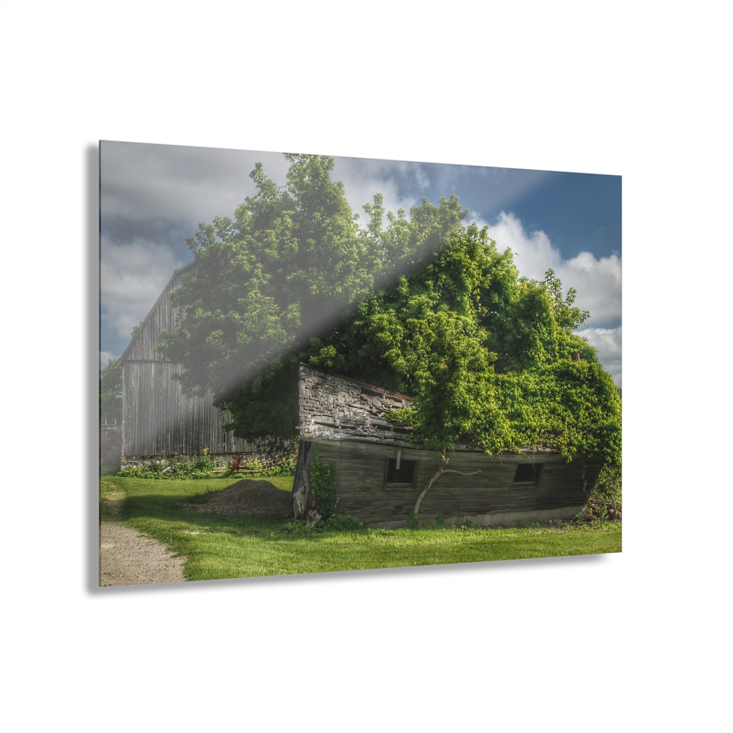 U R There Photography Brown City Road Barn and Buddy I Rustic Farmhouse Acrylic Wall Print