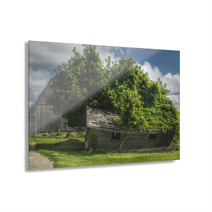 U R There Photography Brown City Road Barn and Buddy I Rustic Farmhouse Acrylic Wall Print