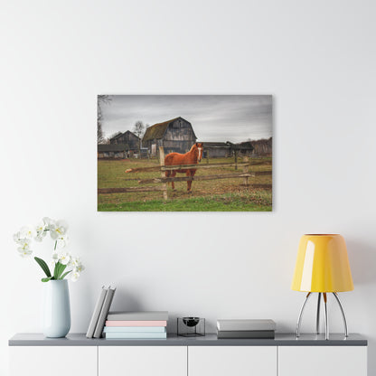 Barn Boutique Modern Farmhouse Acrylic Wall Print| South Summers Road Old Grey and Caramel IV