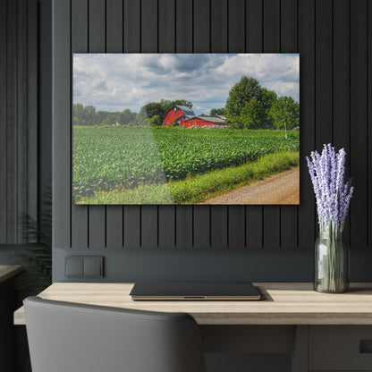 U R There Photography Block Road Reds Rustic Farmhouse Acrylic Wall Print