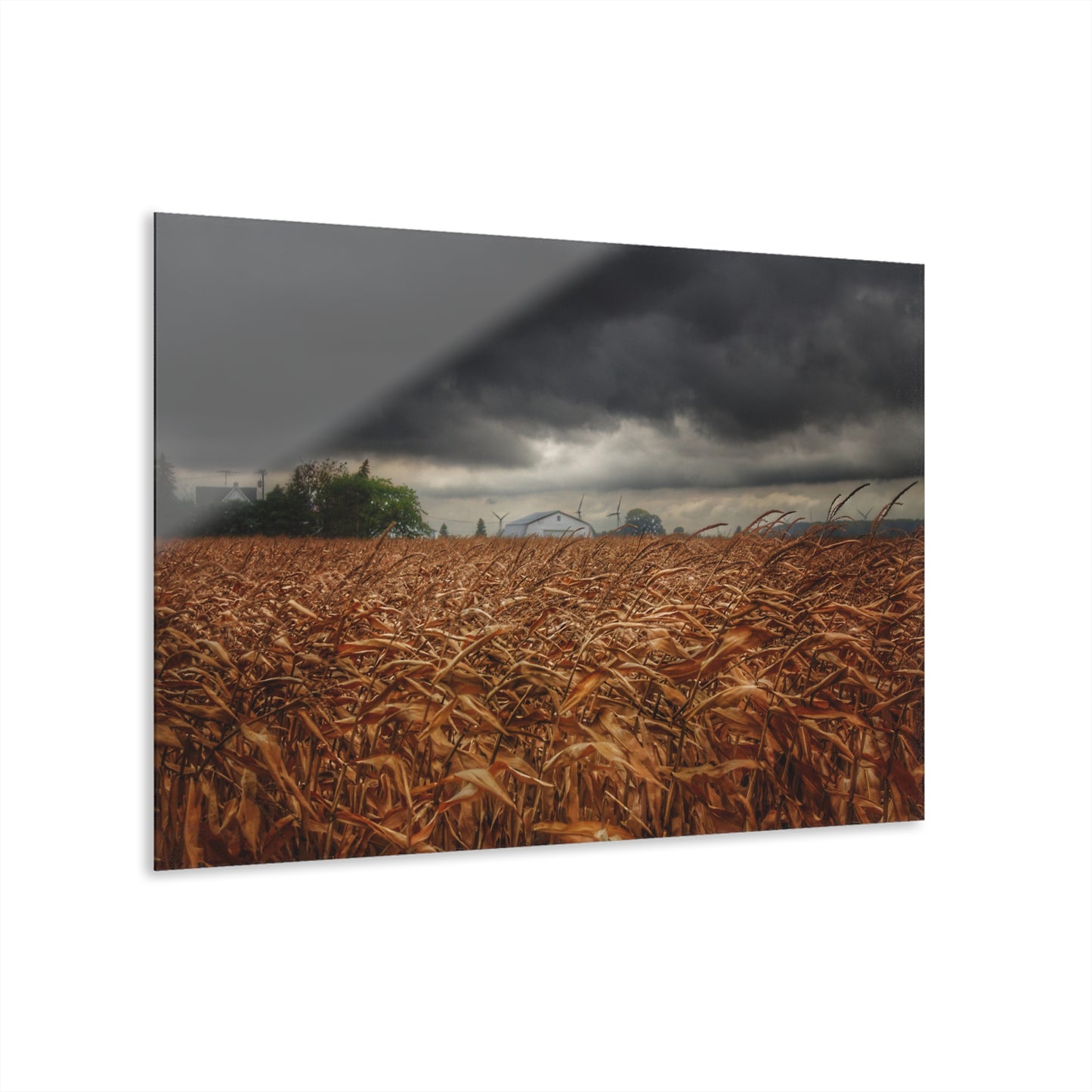 U R There Photography Garner Road Hidden White Rustic Farmhouse Acrylic Wall Print