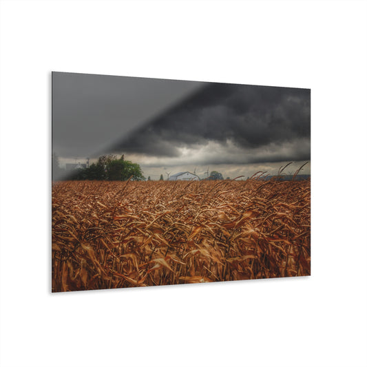 U R There Photography Garner Road Hidden White Rustic Farmhouse Acrylic Wall Print