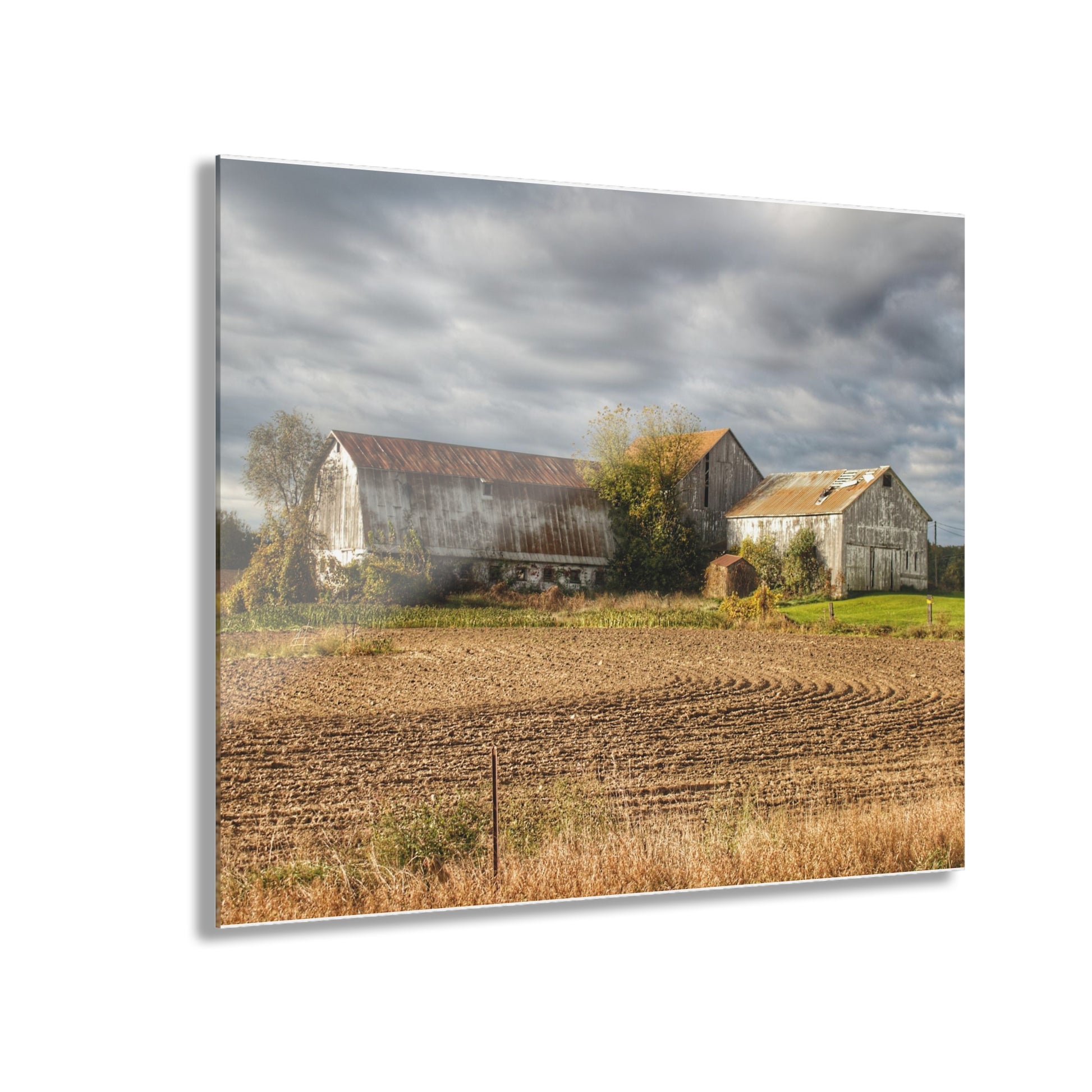 Newark Road Whites Rustic Farmhouse Acrylic Wall Print