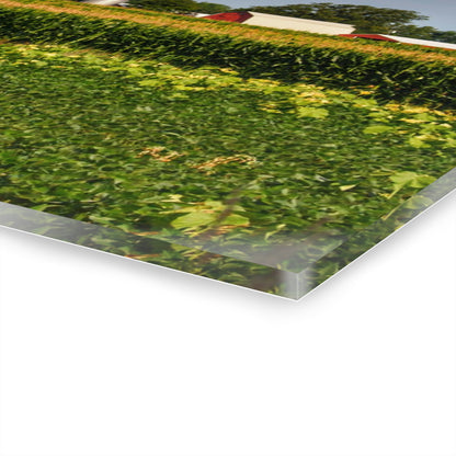 Rustic Farmhouse Wall Print Featuring Across the Field in Clifford