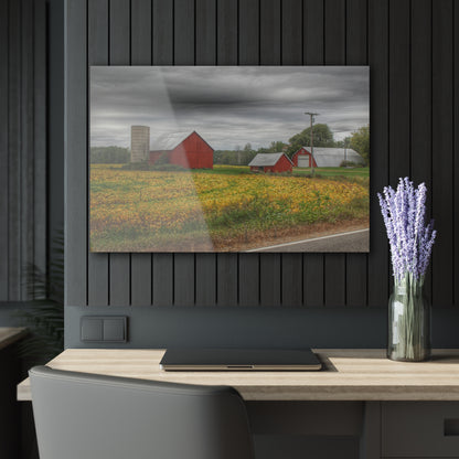 U R There Photography Kingston Road Trio III Rustic Farmhouse Acrylic Wall Print