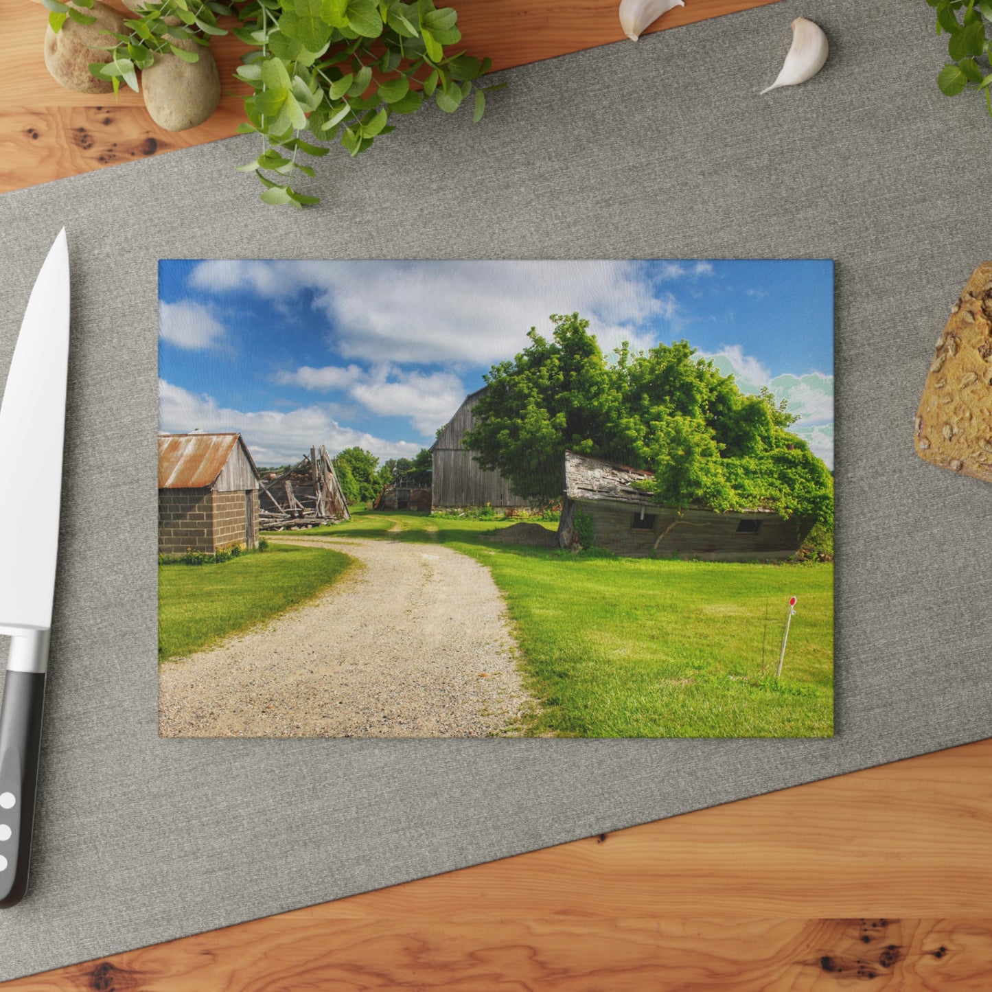 U R There Photography Brown City Road Barn and Buddy II Rustic Farmhouse Tempered-Glass Cutting Board