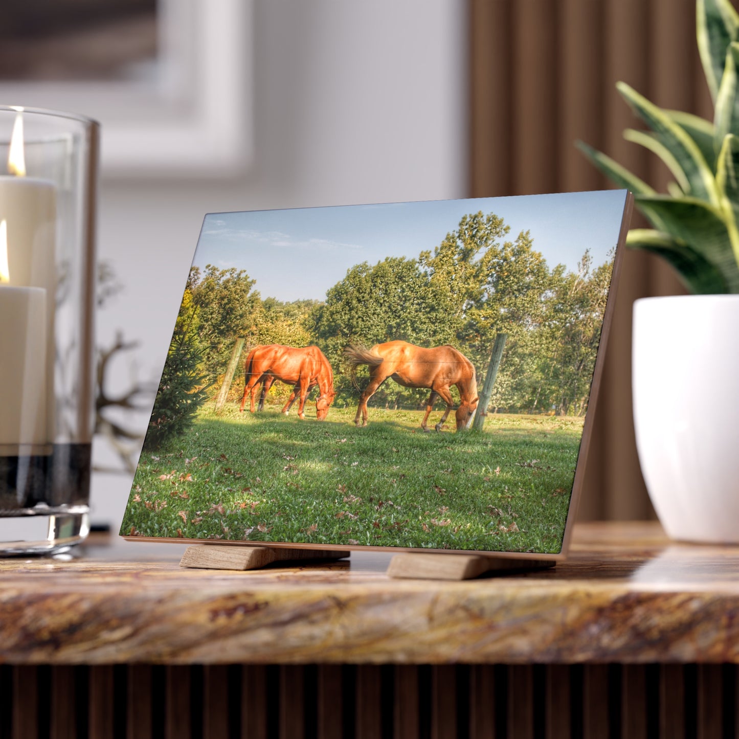 U R There Photography Caramel Horses Rustic Farmhouse Decorative Ceramic Tile
