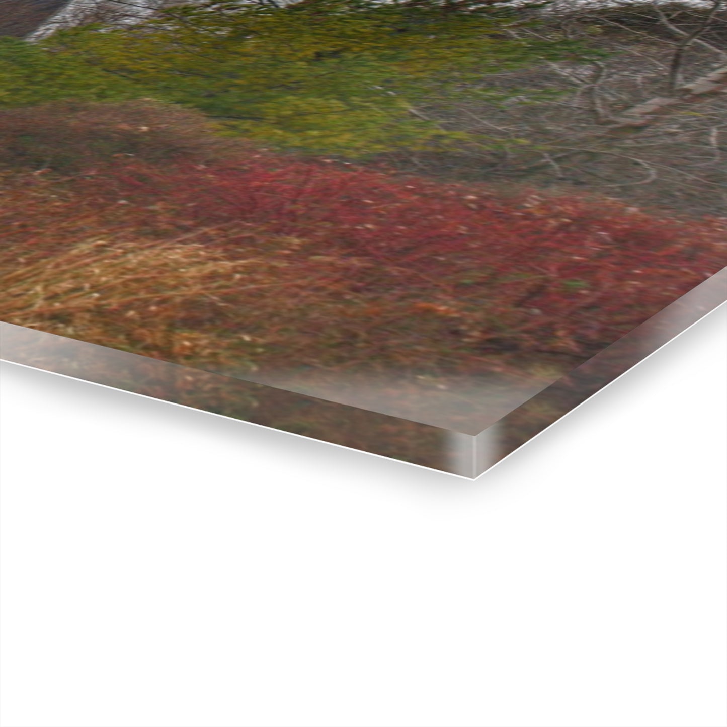 U R There Photography Freiberger Road Hidden Grey Rustic Farmhouse Acrylic Wall Print