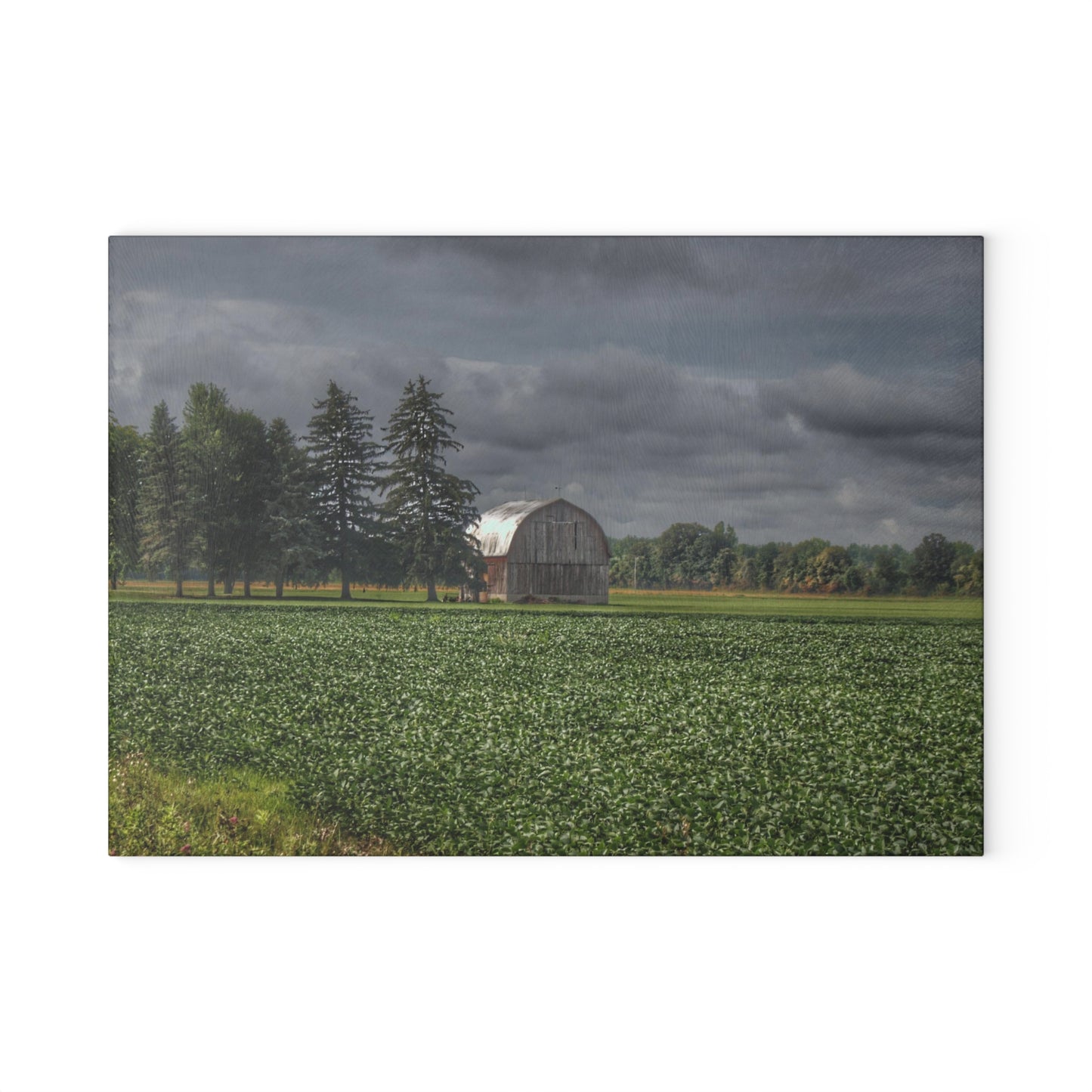 U R There Photography Belsay Grey Among the Pines Rustic Farmhouse Tempered-Glass Cutting Board