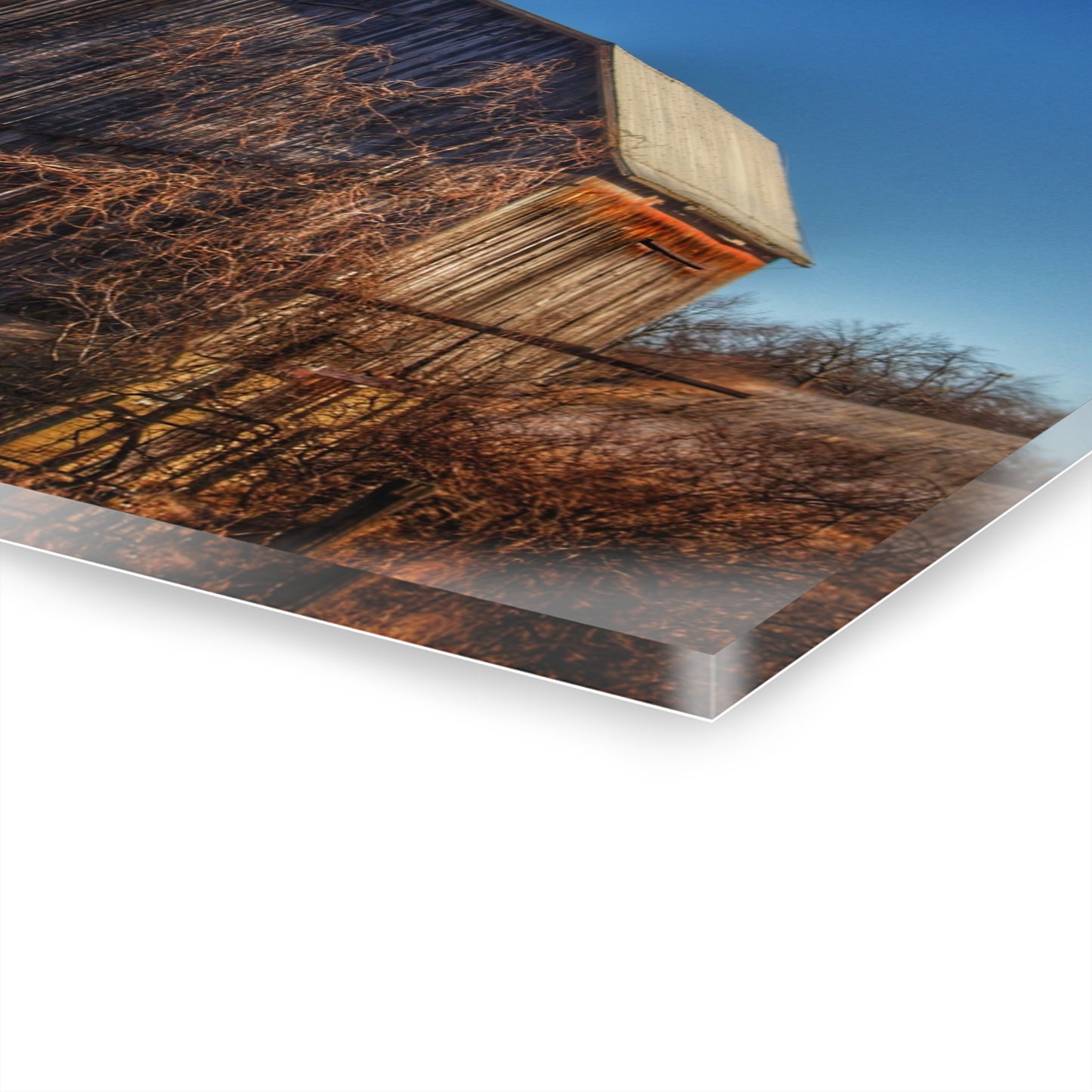 U R There Photography Newark Road Brown Beauty Rustic Farmhouse Acrylic Wall Print