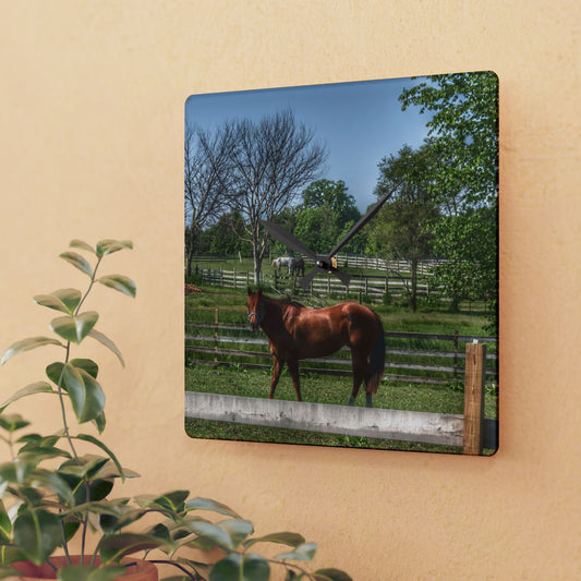 U R There Photography Summer Road Ponies Rustic Farmhouse Acrylic Analog Wall Clock
