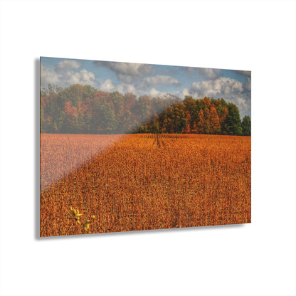 U R There Photography Fall on Murphy Lake I Rustic Farmhouse Acrylic Wall Print