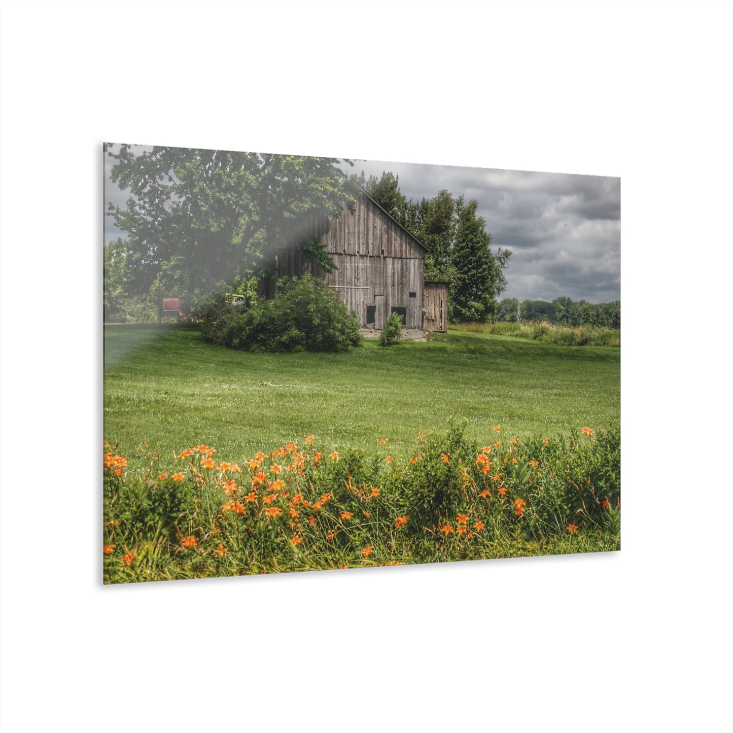 U R There Photography Millington Road Lilly Grey Rustic Farmhouse Acrylic Wall Print