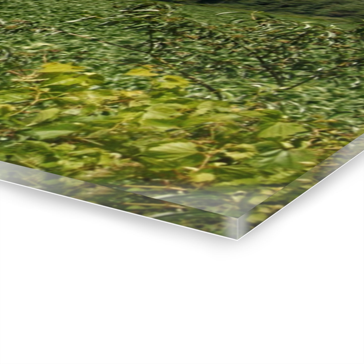 U R There Photography Montrose Farm I Rustic Farmhouse Acrylic Wall Print