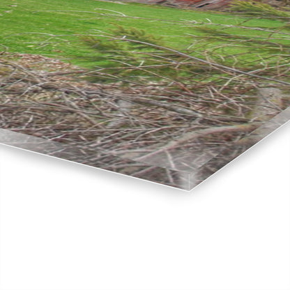 U R There Photography Dodge Road Rusted Red Rustic Farmhouse Acrylic Wall Print