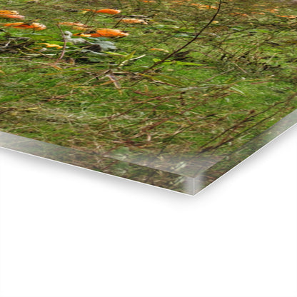 U R There Photography Once Upon a Time in a Pumpkin Patch Rustic Farmhouse Acrylic Wall Print