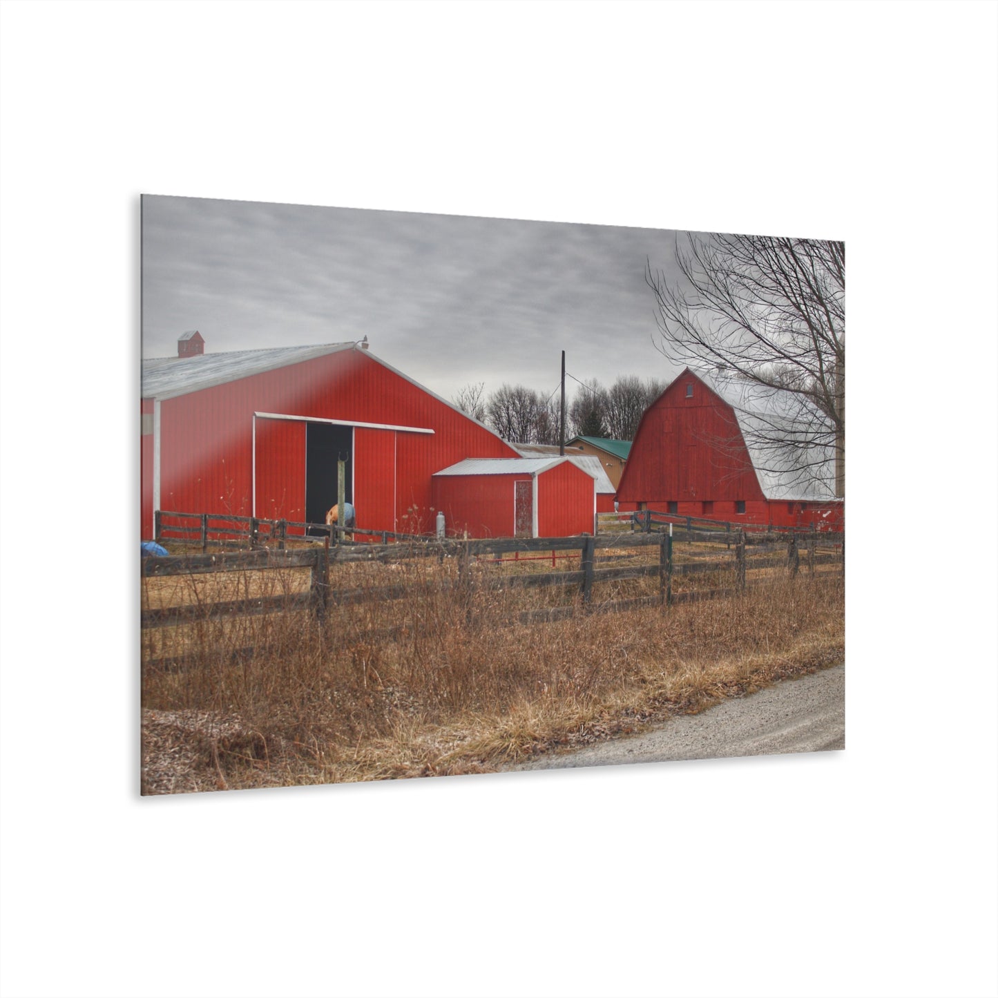 U R There Photography January Reds Rustic Farmhouse Acrylic Wall Print