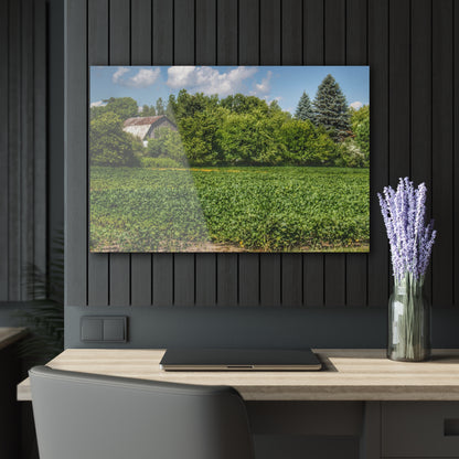 U R There Photography Canada Road Hidden Rustic Farmhouse Acrylic Wall Print