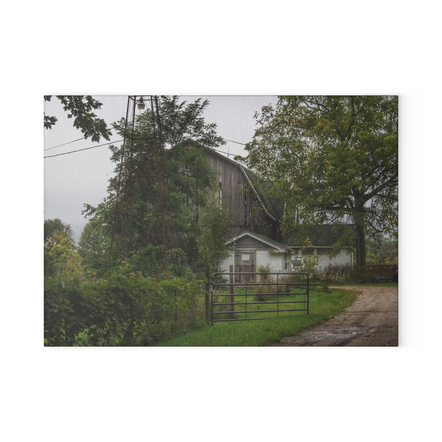 U R There Photography Noble Road Hidden Grey Rustic Farmhouse Tempered-Glass Cutting Board