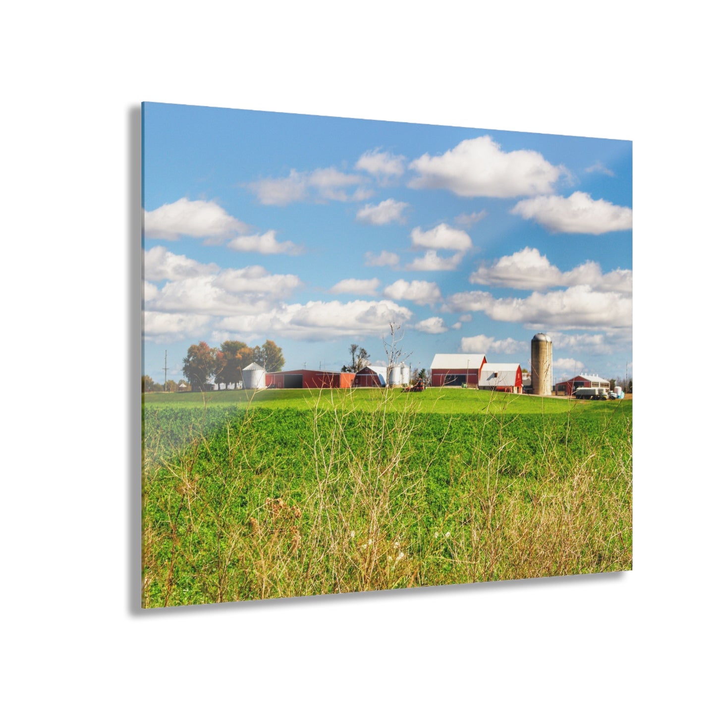 U R There Photography Pattison Road Farm Across the Field II Rustic Farmhouse Acrylic Wall Print