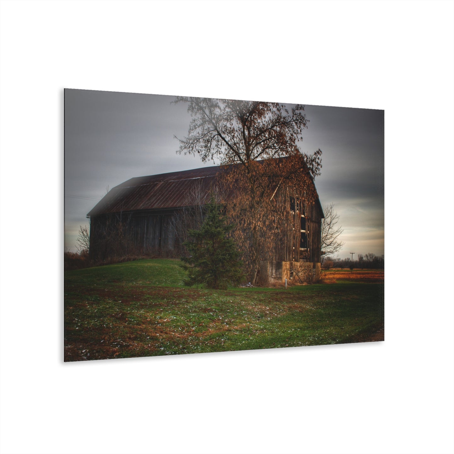 U R There Photography Melvin Grey Rustic Farmhouse Acrylic Wall Print