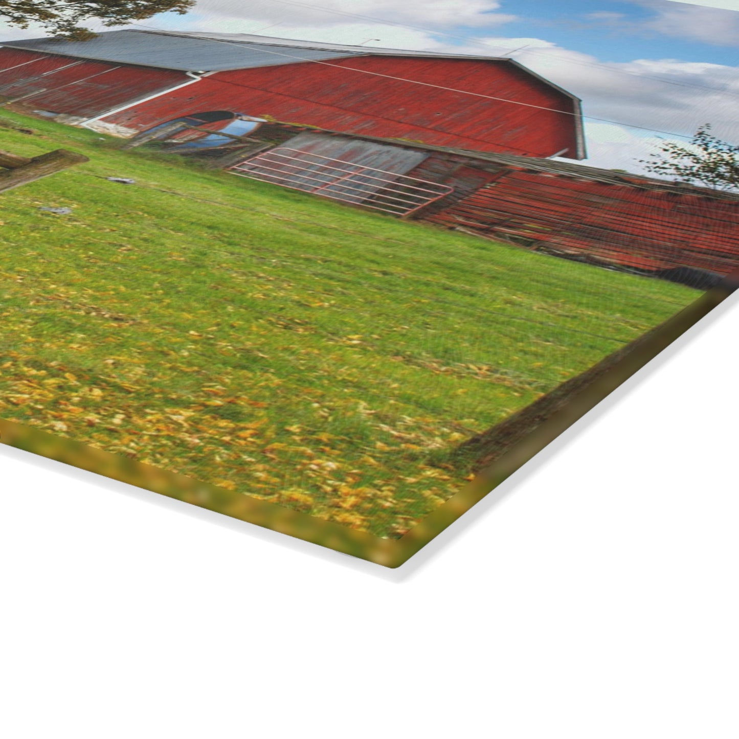 U R There Photography Beyond the Fence on Frances Road Rustic Farmhouse Tempered-Glass Cutting Board