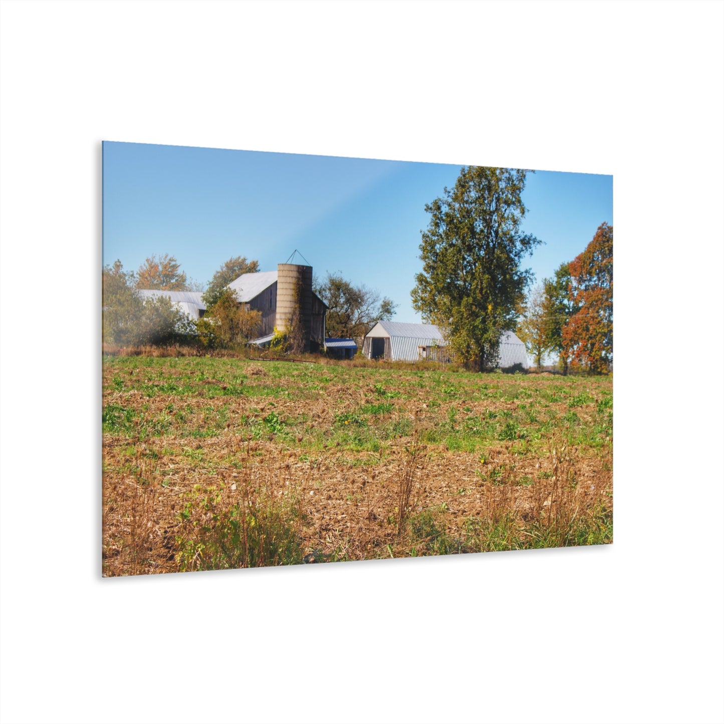 U R There Photography Freiberger Road Greys Rustic Farmhouse Acrylic Wall Print