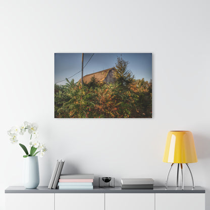 U R There Photography Hidden on Bearanger Road Rustic Farmhouse Acrylic Wall Print