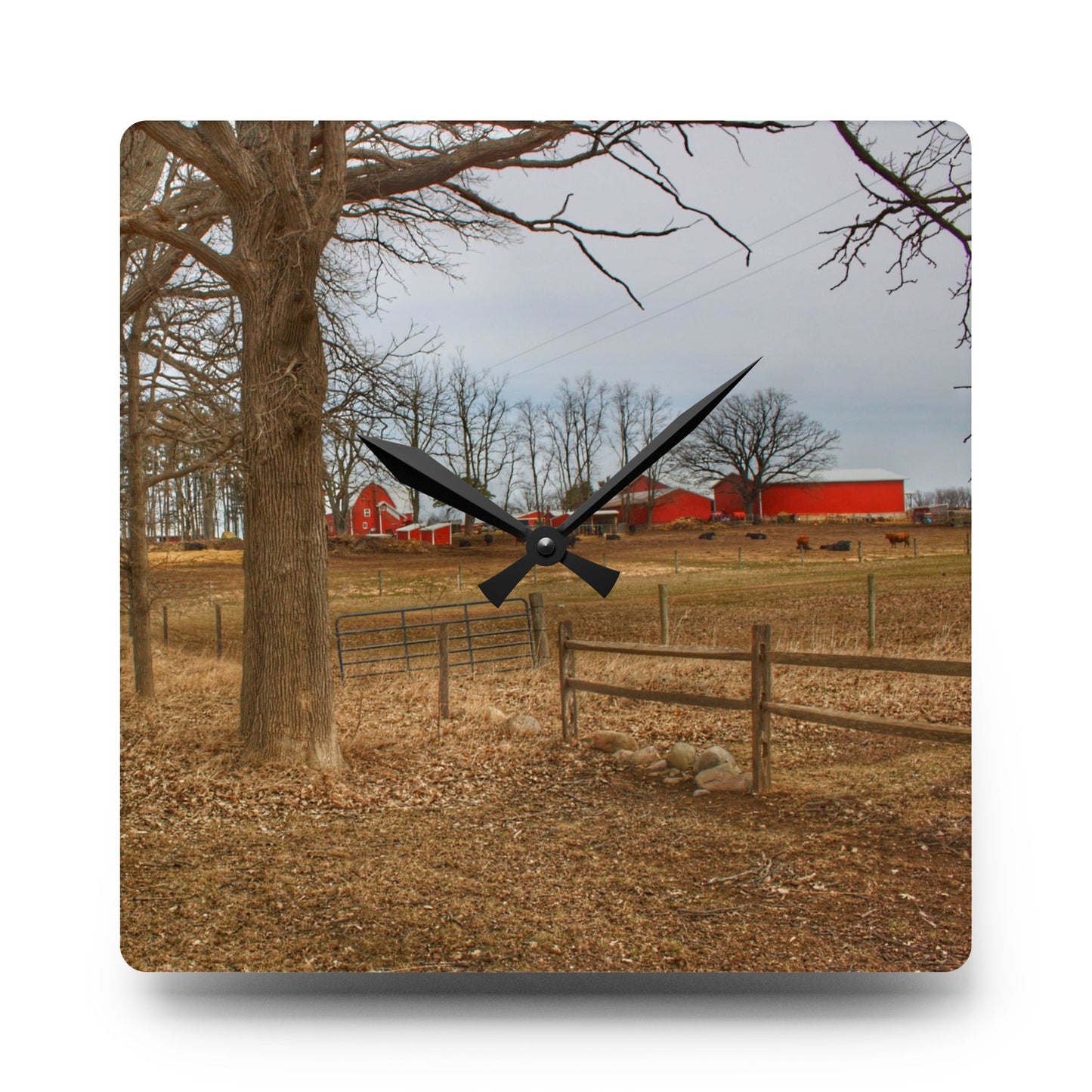 U R There Photography Wilder Road Cow Farm Rustic Farmhouse Acrylic Analog Wall Clock