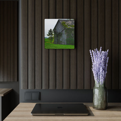 U R There Photography Caro Road Twin Grey I Rustic Farmhouse Acrylic Analog Wall Clock