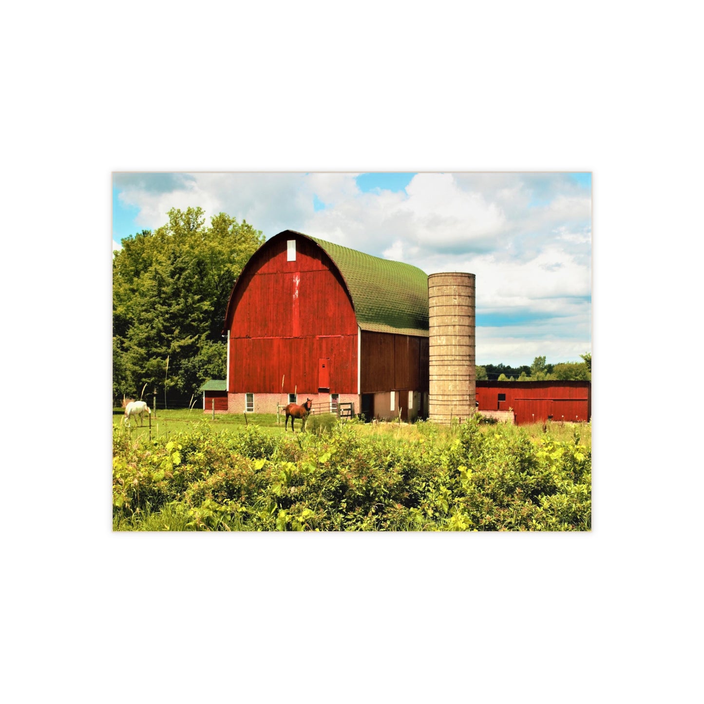 U R There Photography Elmwood Road Red and Horses Rustic Farmhouse Decorative Ceramic Tile