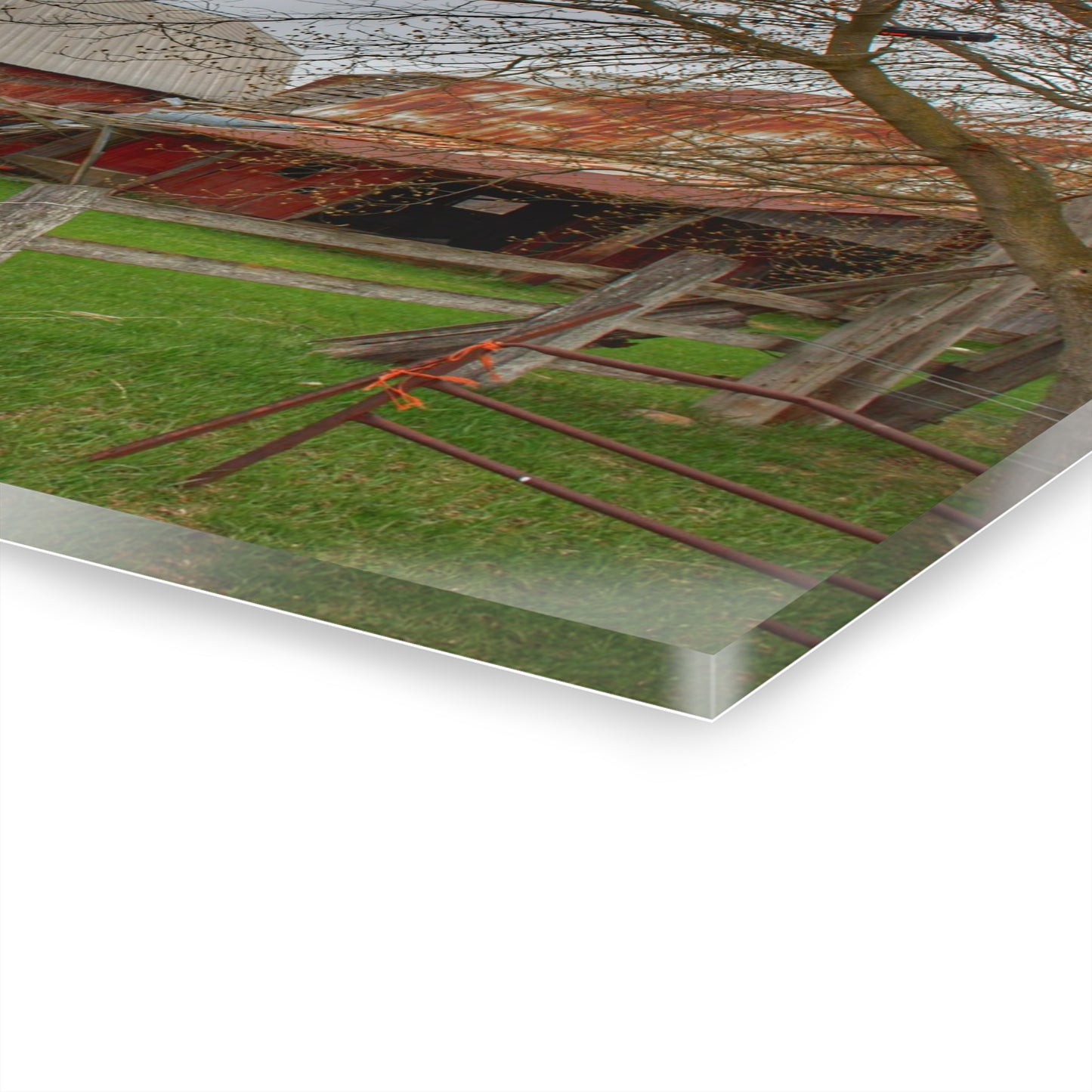 U R There Photography Dodge Road Forgotten Greys Rustic Farmhouse Acrylic Wall Print