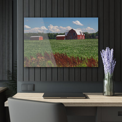 U R There Photography South Gera Road Red Rustic Farmhouse Acrylic Wall Print