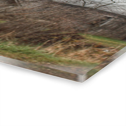 U R There Photography Bowers Road Greys II Rustic Farmhouse Acrylic Wall Print