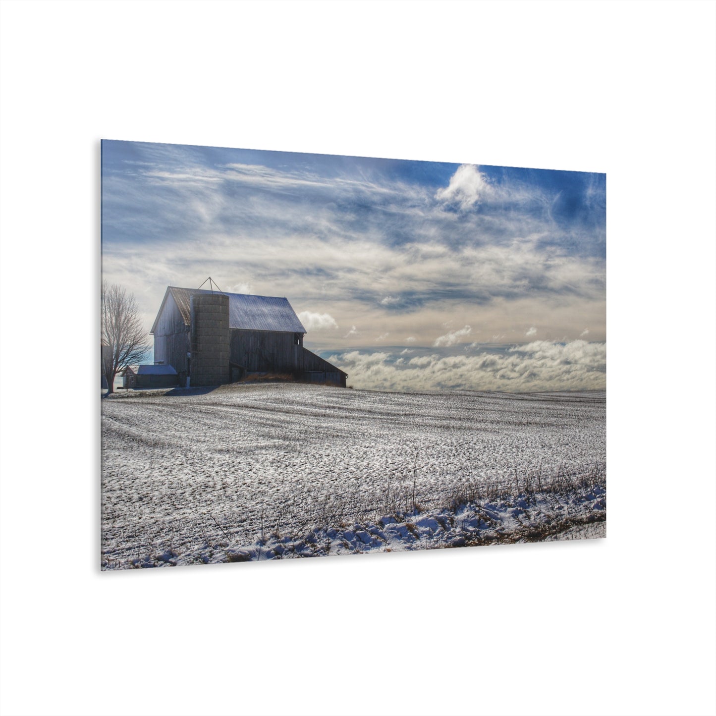 U R There Photography Early Spring Grey I Rustic Farmhouse Acrylic Wall Print