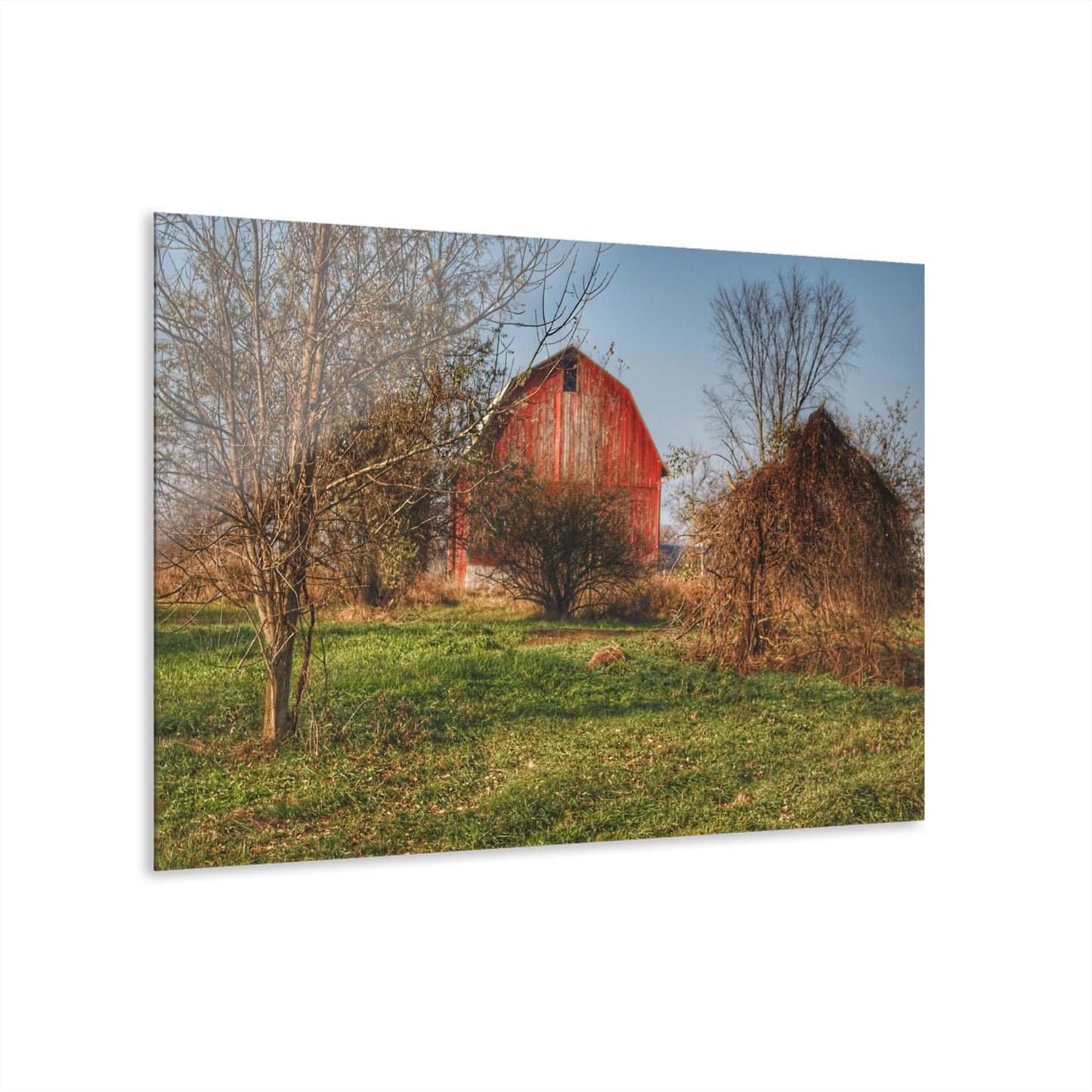 U R There Photography Columbiaville Red in November Rustic Farmhouse Acrylic Wall Print