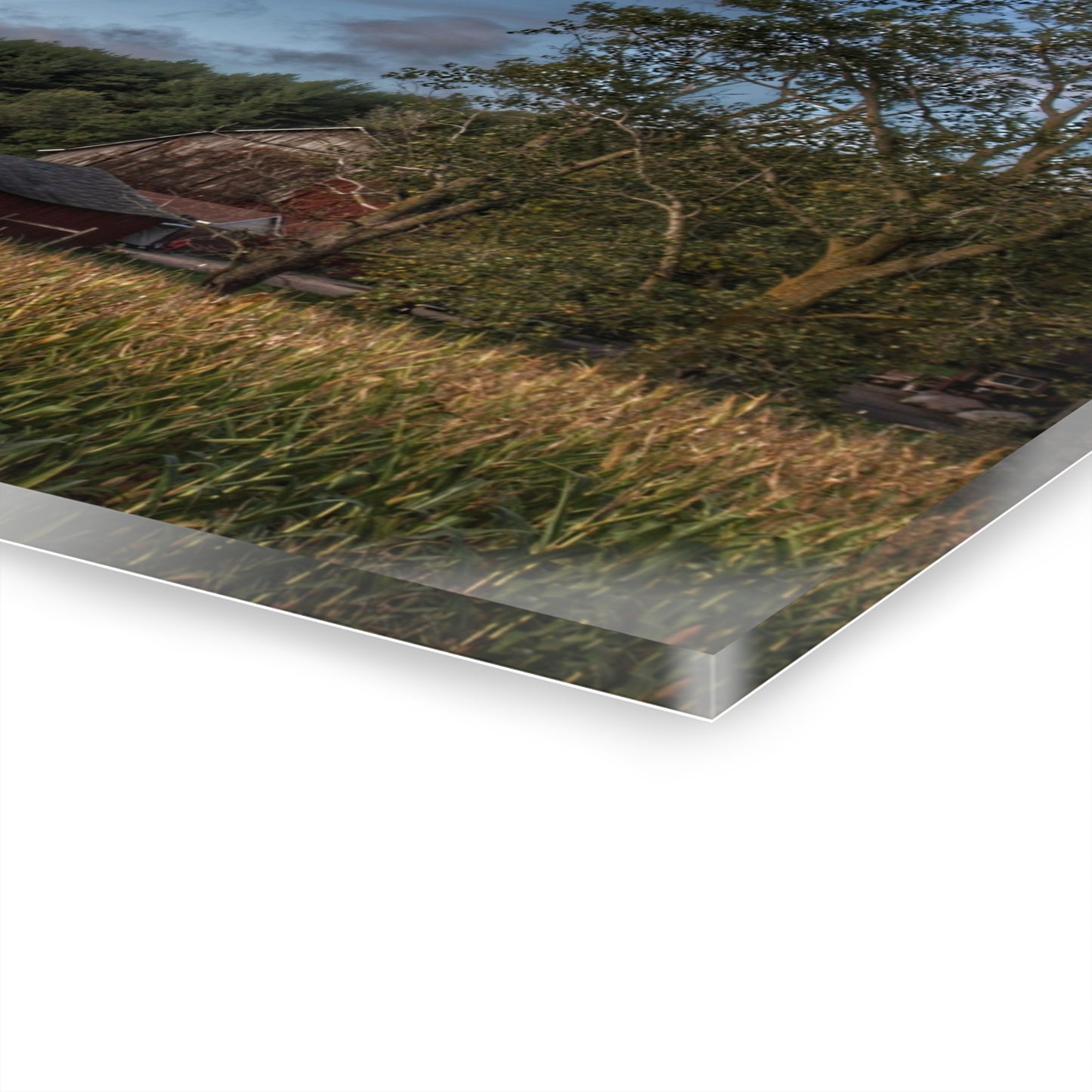 U R There Photography West Oregon Road Hidden Red II Rustic Farmhouse Acrylic Wall Print