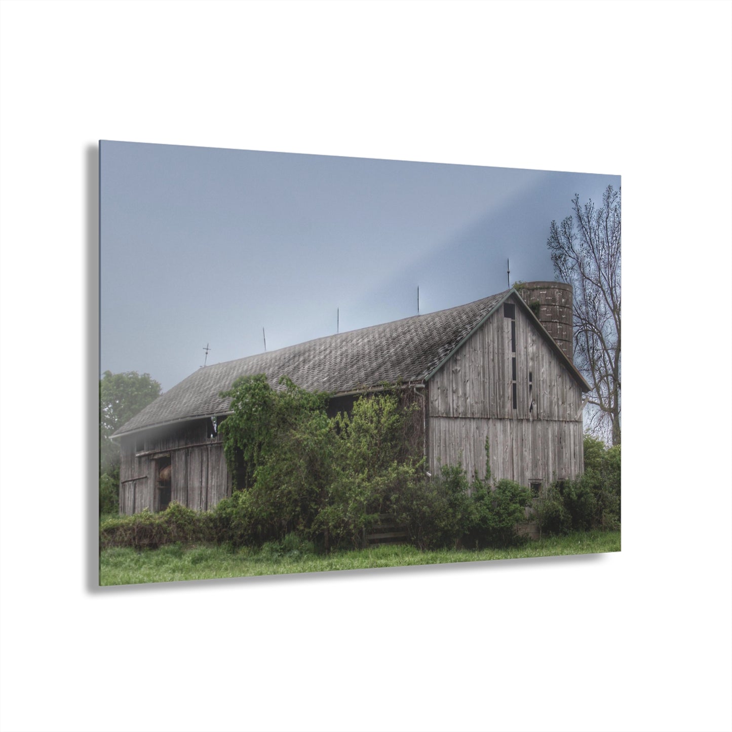 U R There Photography Wilder Road Grey I Rustic Farmhouse Acrylic Wall Print