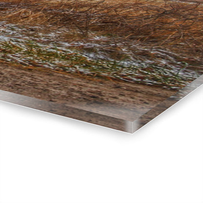 U R There Photography Hough Road Reds Rustic Farmhouse Acrylic Wall Print