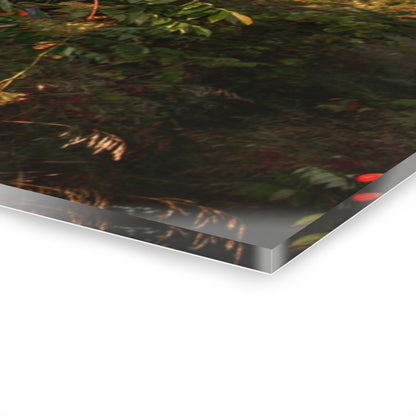 U R There Photography Hidden on Bearanger Road Rustic Farmhouse Acrylic Wall Print