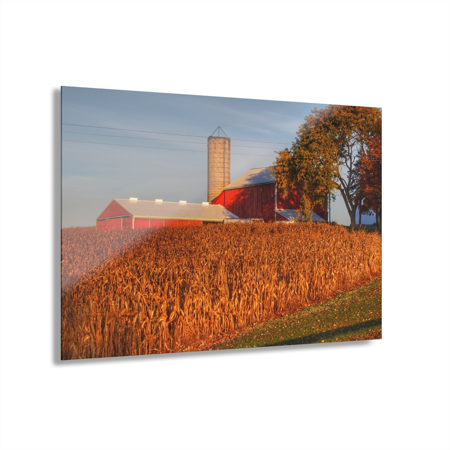 U R There Photography Lake Pleasant Reds I Rustic Farmhouse Acrylic Wall Print