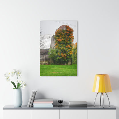 U R There Photography Ludwig Road Oxford Grey and Silo Rustic Farmhouse Acrylic Wall Print