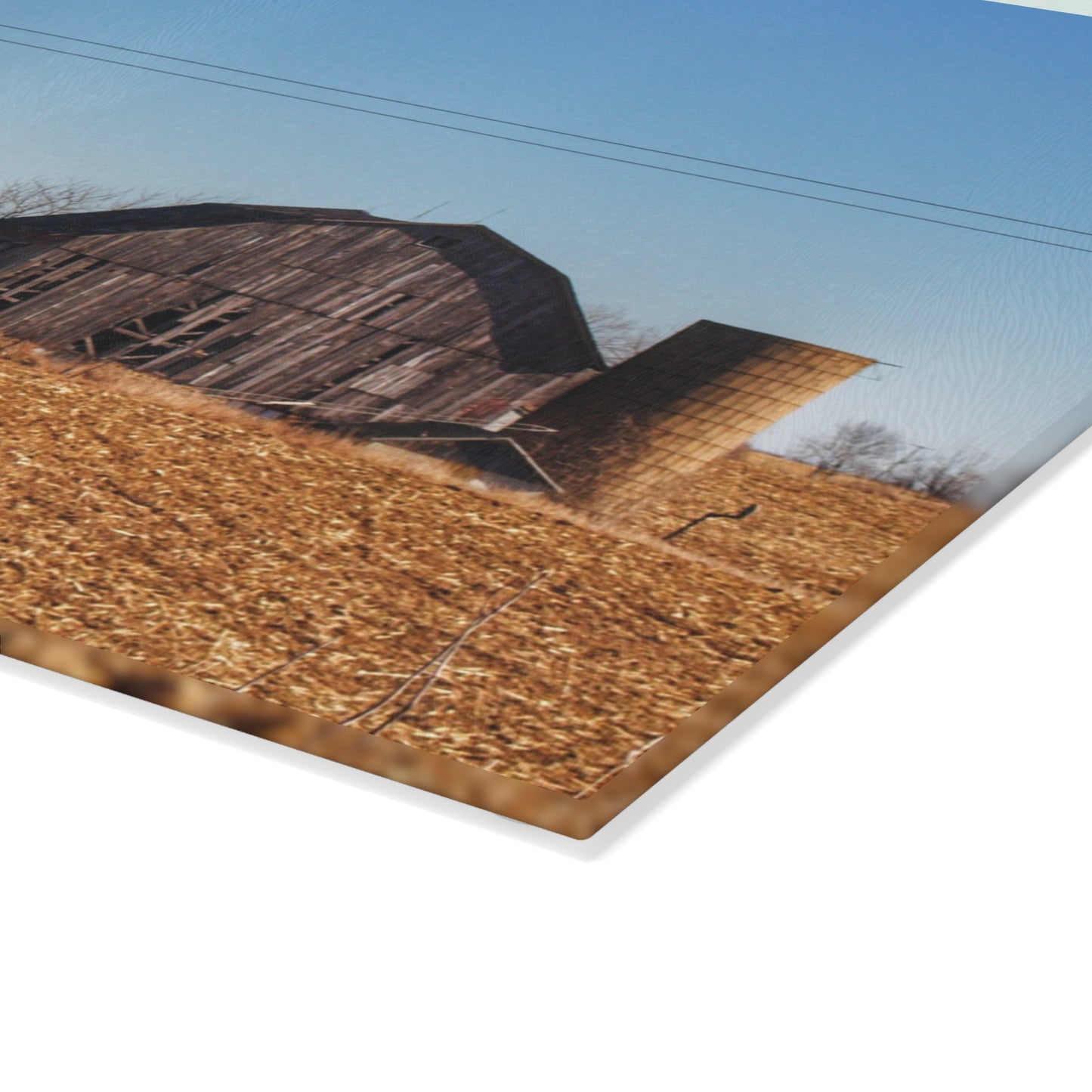 U R There Photography Hurd Corners Road Grey Rustic Farmhouse Tempered-Glass Cutting Board