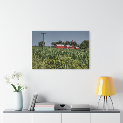 U R There Photography Shoemaker Road Reds Beyond the Corn Rustic Farmhouse Acrylic Wall Print