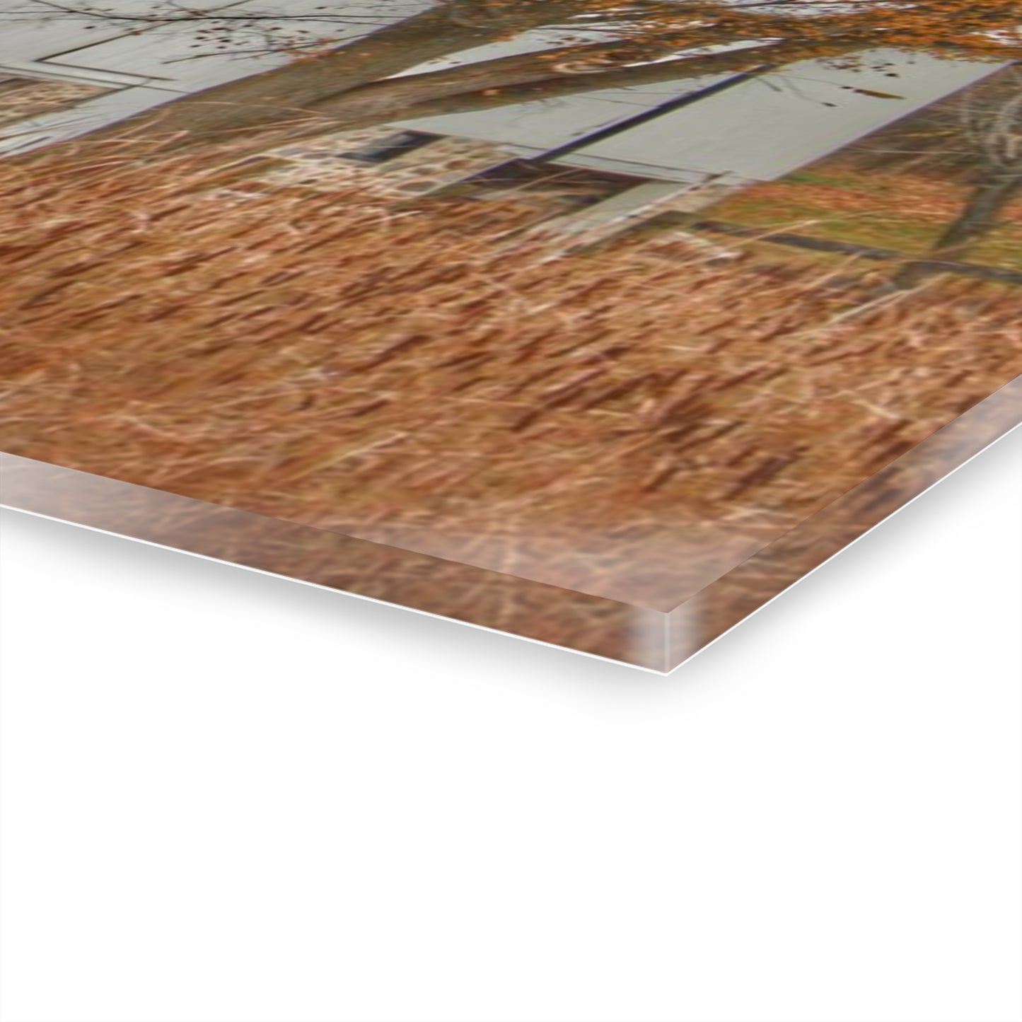 U R There Photography East Oakwood White Rustic Farmhouse Acrylic Wall Print