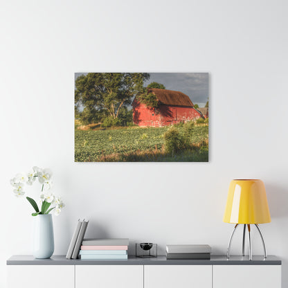 U R There Photography Genesee Road Red II Rustic Farmhouse Acrylic Wall Print